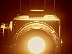 Pamela pantera sits deliciously bouncing on lukas's dick