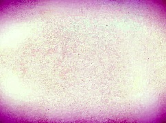 I feel so punished by my bratty stepdaughter's sloppy blowjob