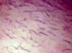 Jilat memek pertama kali suami gue