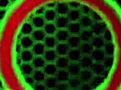 Zoey Monroe Rides Miles Long Hard!