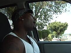 big tits american mom in action