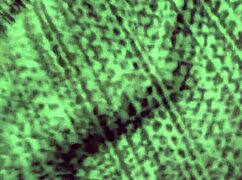 A Homemade Threesome With My Lovers In Bed