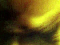 japanese pov: intimate point of view of asian culture and life in japan