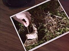 Ashley Lane atada se come pollas en la cara y lame culo en California