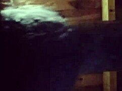 Shall We Fuck Deliciously?