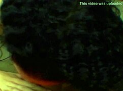 Beauty babe gives blowjob and licks in casual encounter