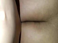 I left it inside my curvy neighbor