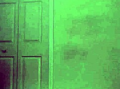 Stretching like zodiac animals with toy bear