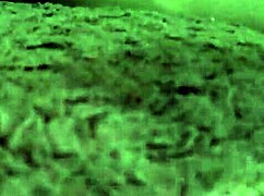 Hey, watch me cum into her sexy pussy 😏