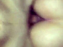 Rjavolaska z veliko ritjo se usede