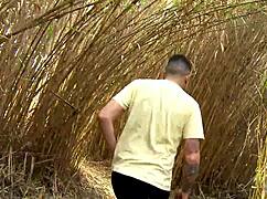 Amateur hussy gets her face covered in cum after outdoor quickie