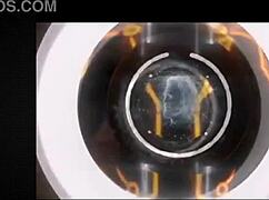 What Lies Beyond The Veil Of The Unknown Horizon?