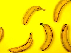 Rekonfiguration - Chapter 3 - Learning to Let Go