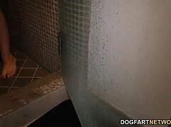 Gia Paloma and Carmen Valentina fuck BBC in cuckold sessions