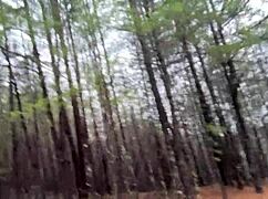 Want to see clitlicker662's outdoor flash update?