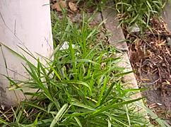 Uber Moto Girl Picked Up And Fucked In Apartment