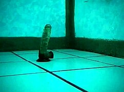 la pandita recibe el año caliente con su juguete favorito