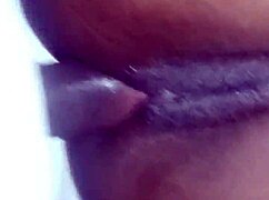 Jamaican BBC fucking Miami Haitian pussy and asshole