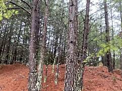 Want to see clitlicker662's outdoor flash update?