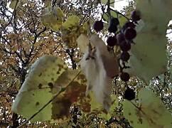 Our Autumn Romantic Sex In A Hut - Lesbian Illusion Girls