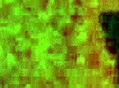 I thought my wife was cheating but I was wrong.