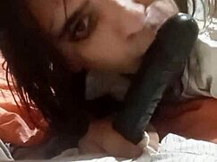 Irreversible-sin-retorno update 78 tutorial.