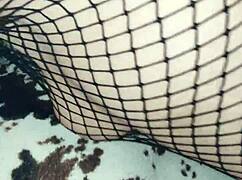 Amateur Erotic Porno Couple Milf Pov