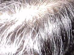 Cheating Stepmother Sucks Cock in Taboo Wet Encounter