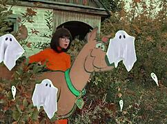 Velma went to solve the mystery with Scooby Doo in costumes