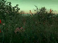 Velma went to solve the mystery with Scooby Doo in costumes