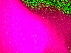 Lesbians Giving Each Other Tongue Pleasure