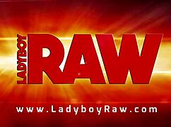 ladyboy juy engages in bareback anal and blowjob action