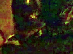 Waking up in the night