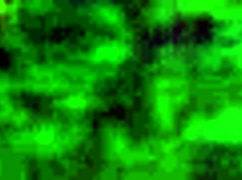 Waking up in the night