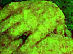 Waking up in the night