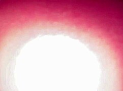 want to see creampie by the campfire during public camping sex