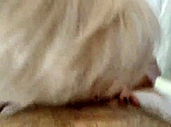 aimee hot milf aka aimeeparadise - the queen of married cocksuckers 17