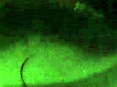 First Time Putting A Vid Online? Watch Chubby Cum Swallow!