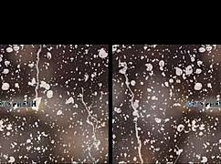 Vr Piss Play And Dildo Fucking