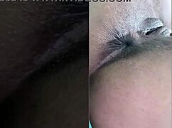 wet pussy whore begins in ass