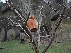 Car sex adventures best by laura quest s02e02