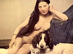 dark lantern entertainment presents beauty and the beast