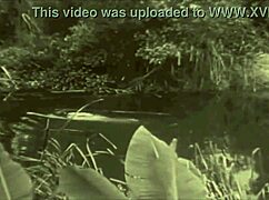 dark lantern entertainment presents beauty and the beast