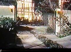 Four old movies from the classic era.