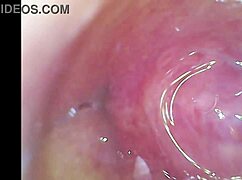 Intense Pussy Orgasm Contractions Cam Finds Sperm In Pussy Juice Under Microscope
