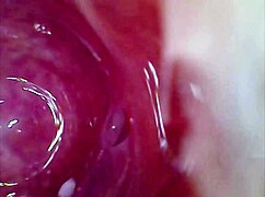 Intense Pussy Orgasm Contractions Cam Finds Sperm In Pussy Juice Under Microscope