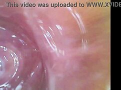 Intense Pussy Orgasm Contractions Cam Finds Sperm In Pussy Juice Under Microscope