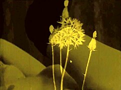 vintage art collection showcasing antique and retro designs with beautiful vintage styles