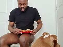 Llamasr Update 1 - March 18, 2025