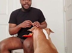 Llamasr Update 1 - March 18, 2025